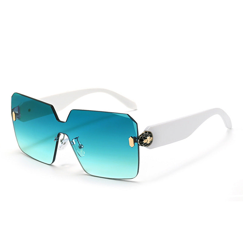 Sunglasses lens gradient detail