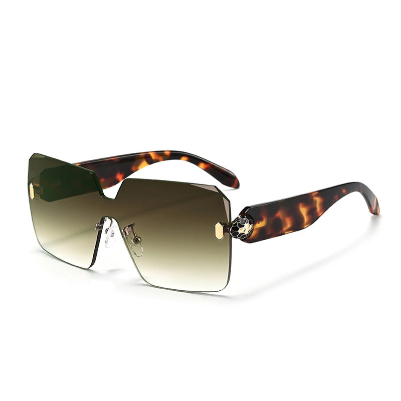 Sunglasses shown in case