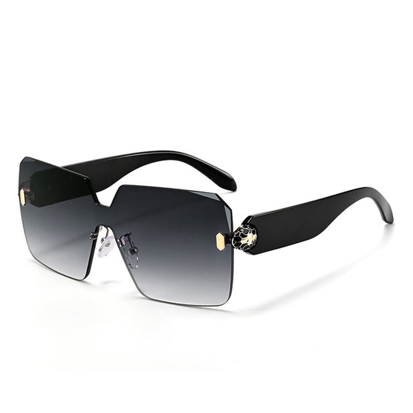 Sunglasses temple arm close-up
