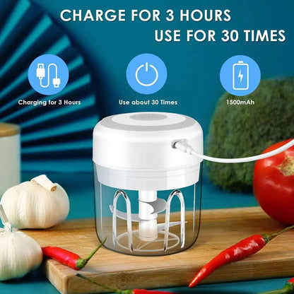Electric Onion & Garlic Chopper Splashis 300ml-chopper 304-stainless-steel 37w-motor accessible-cooking accident-free-cooking additive-free-cooking apartment-kitchen arthritis-friendly baby-food-chopper baby-food-maker baby-food-processor